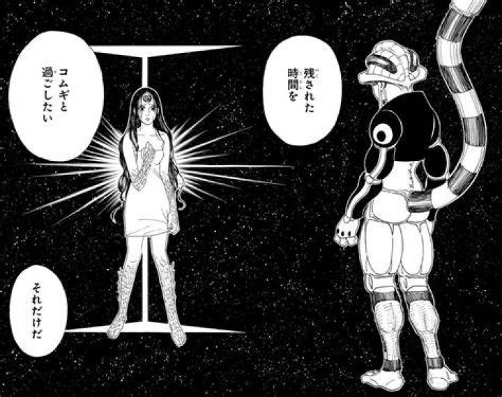ハンター×ハンター メルエムの最期と死因の理解