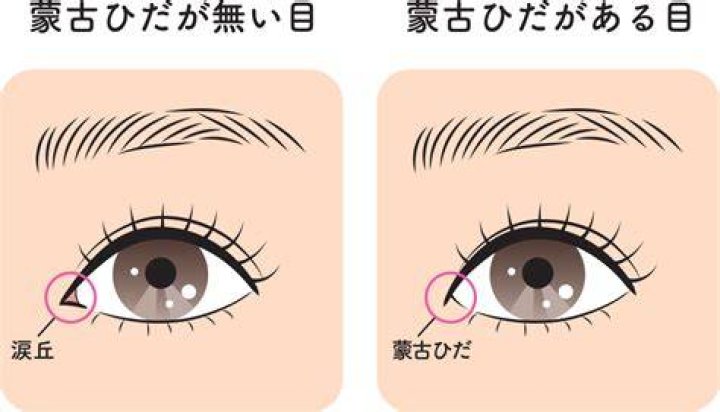 糸目に見える目元の特徴