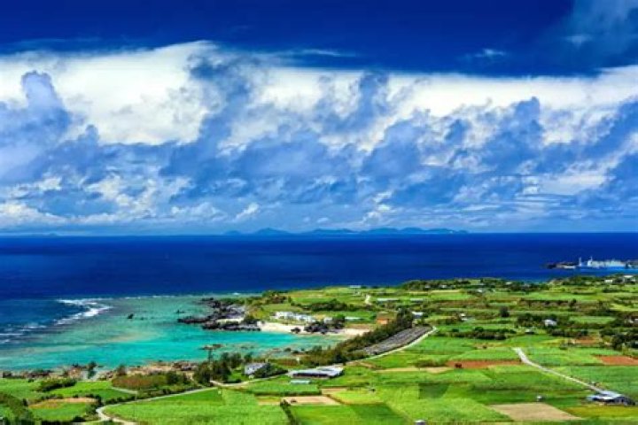 下津大輔-鹿児島で調べる前に知りたい確認方法と地域情報